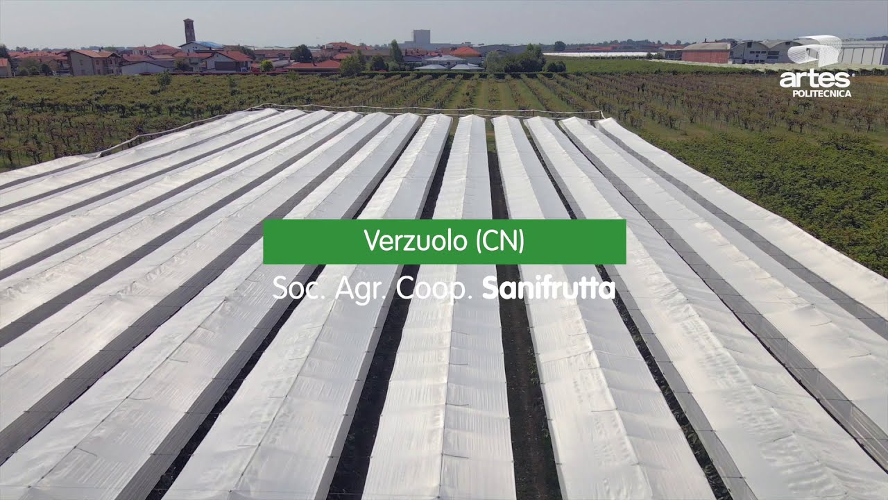 Artes Politecnica - Anti Rain System with net, company Sanifrutta