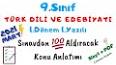 Türk Dilleri ve Lehçeleri: Çeşitlilik ve Sınıflandırma ile ilgili video