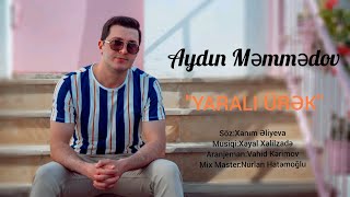 Aydin Memmedov - Yarali Urek Resimi