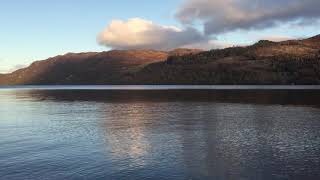 The Log Loch Ness Monster