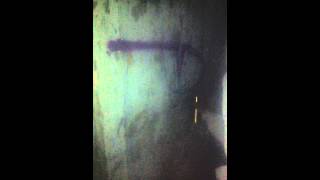 IMG 00671