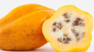 Trying Mountain Papaya For The First Time!