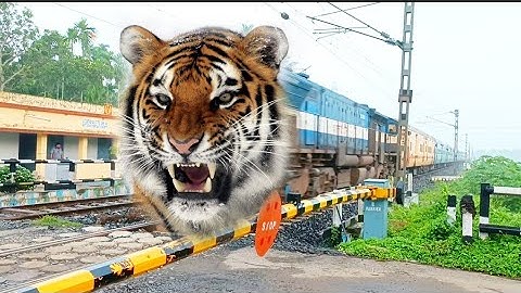 Fast & Furious TIGER Headed PAHARIA EXPRESS Train Dangerous Moving Throughout At Railgate