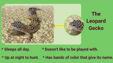 G1 How Do We Use Inquiry Skills