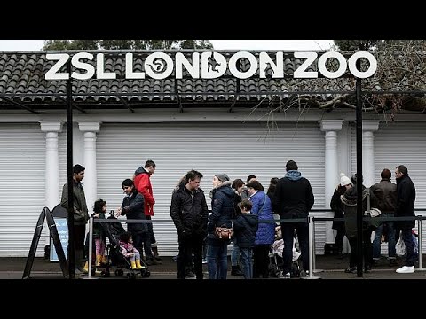 Βίντεο: Πότε άνοιξε ο ζωολογικός κήπος Northumberland;