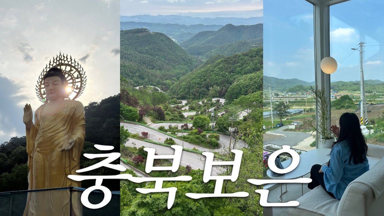 보은여행 당일치기 힐링여행🌳 카페 시루산 | 속리산 법주사 정이품송 | 보은대추닭강정 | 옥천 풍미당 물쫄면