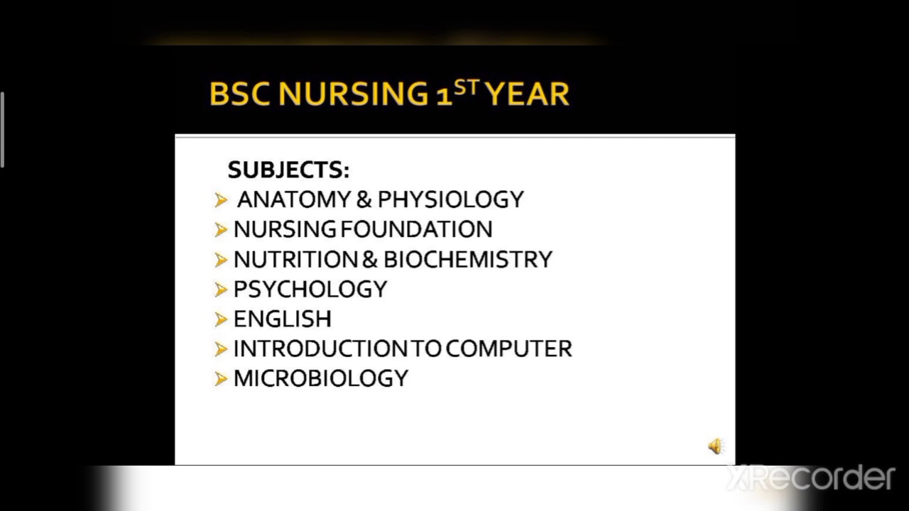 bsc nursing 1st year assignment