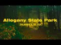 Allegany state park  film emulation fujifilm xt3