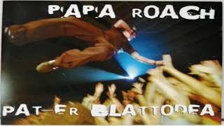 Papa Roach - Live @ Stuttgart 2001 [FULL CONCERT] (Audio Only)