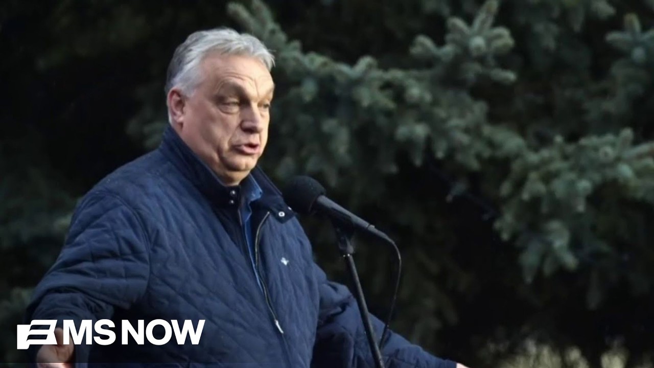 'A great day for Western democracy': Joe reacts to outcome of Hungary's election