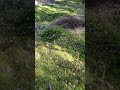 Spazieren Gehen nach dem Fliegen
