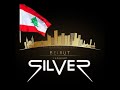 ميقامكس ديجي سلفر بيروت 
