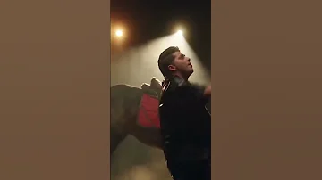 كليب باشا البلد مصطفى عنبه و فيلو 
