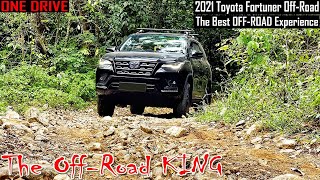 This Is Why We LOVE Toyota Fortuner 2021 | Off-Road Day | BLACK PANTHER VS DARK JUNGLE!!!