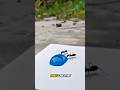 Those black ants really caught my eye #ants #timelapse #survival