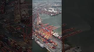 Middle Powers  The Quiet Architects of Multipolarity