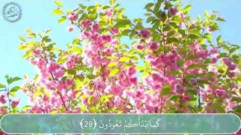 سورة الأعراف كاملة