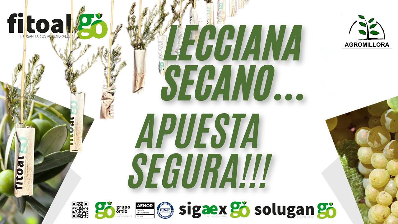 “No opinamos: cultivamos. Nuestra Lecciana en seto de secano”