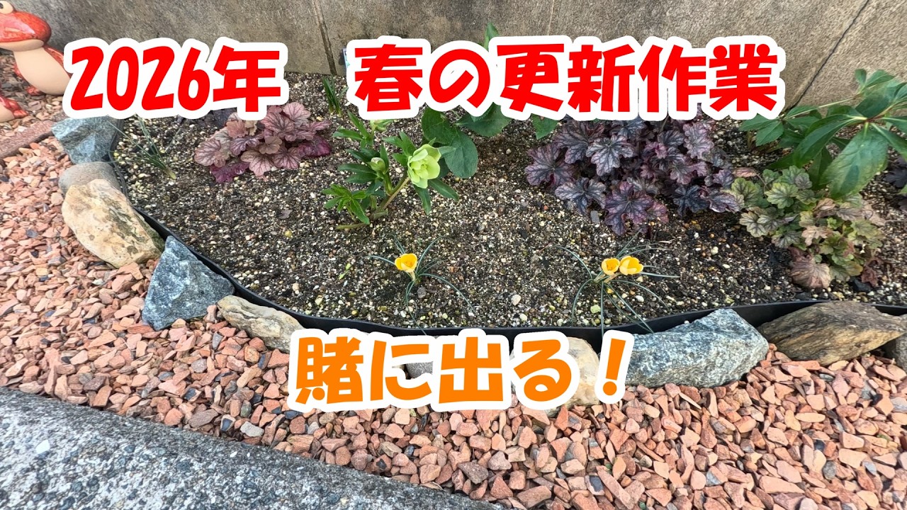 2026年　春の更新作業