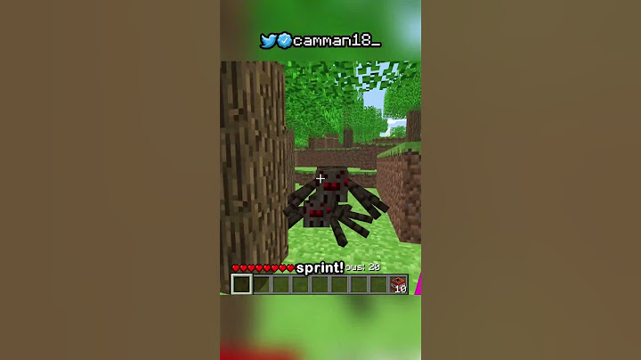 Minecraft, But Damage Switches My Version...