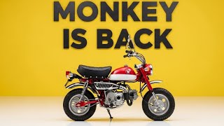 New 2026 Honda Monkey 125 – The Cutest Mini Bike Just Got Better!