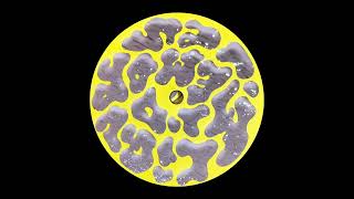 Serenity Now - Rhythmic Models // 2023