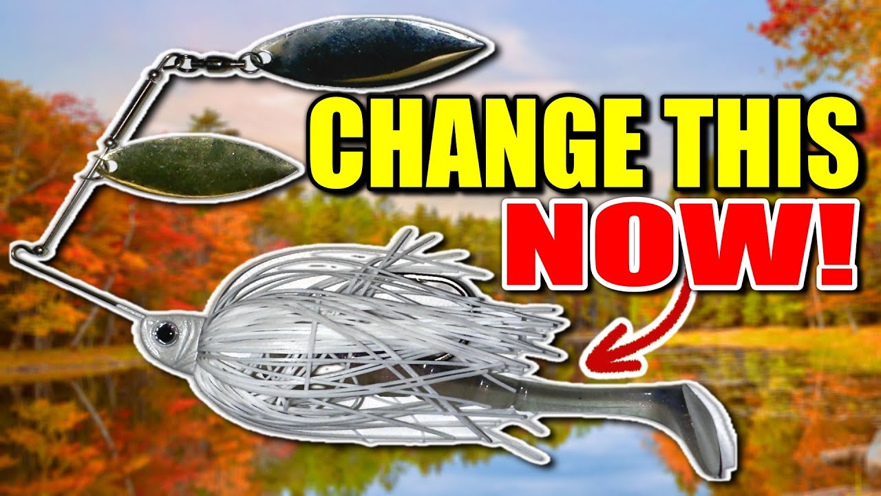 Всё, чего вы не знаете об осенней ловле спиннингом (но должны знать)