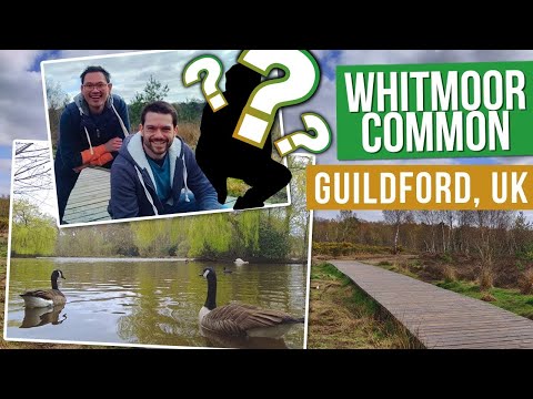 Exploring Whitmoor Common in Guildford with a MYSTERY GUEST!