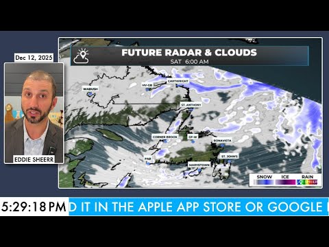 Video Calmer weather returns to NL this weekend, ahead of early week winter storm