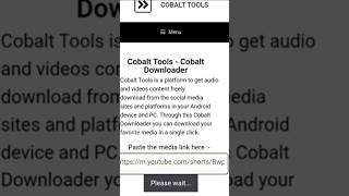 How to Download Videos from Cobalt Video Downloader