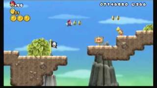 New Super Mario Bros Wii 6-4 - 336