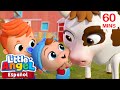 Beb juan y los animales de la granja  canciones infantiles con beb juan little angel espaol