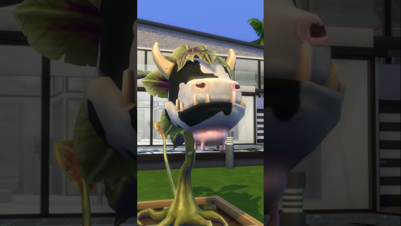 Death by Cow Plant in First Person Mode in the Sims 4 