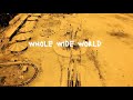 Billie Joe Armstrong of Green Day - Whole Wide World (Amazon Original) (Lyric Video)