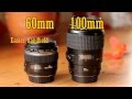 Canon EF-S 60mm f/2.8 USM Macro Lens Review (with samples)