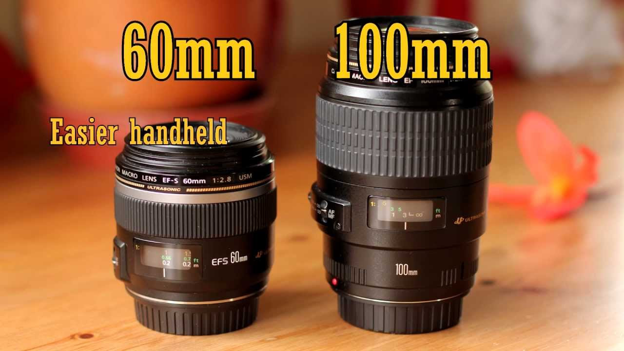 15 Things About The Canon EF-S 60mm f/2.8 USM Macro Lens - YouTube