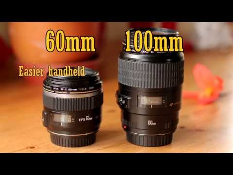 Canon EF-S 60mm f/2.8 USM Macro Lens Review (with samples)