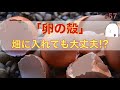 【#57】卵の殻は畑に入れるとどのような効果がある!?石灰やカルシウムの話