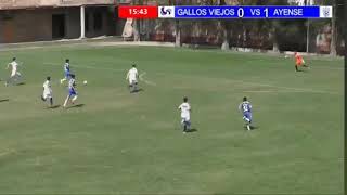Gallos viejos vs Ayotlan 2020