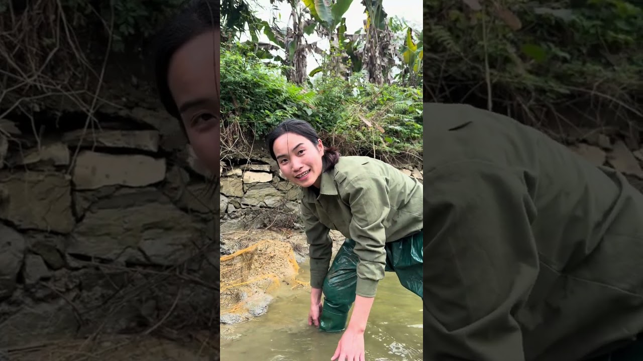 Thu hoạch cá #trieuthimay #cuộcsốnghàngngày #cuộcsốngmiềnnúi 