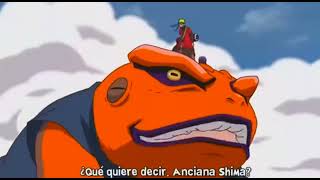 NARUTO VS PAIN COMPLETA SUB ESPAÑOL