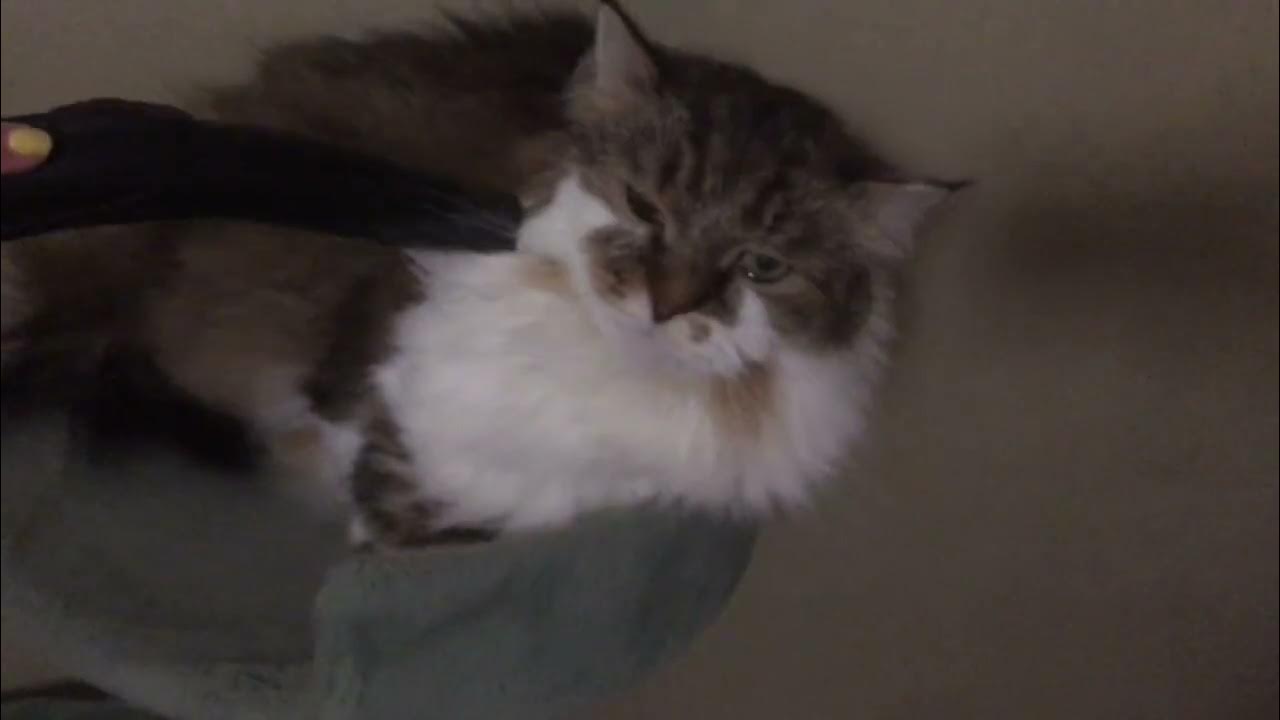 как пропылесосить playstation 4