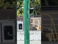 有部m train 在荃灣車廠附近調坑+225 106