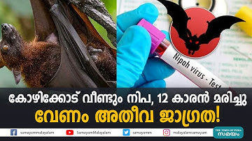 കോഴിക്കോട് വീണ്ടും നിപ, 12 കാരൻ മരിച്ചുവേണം അതീവ ജാഗ്രത! | nipah virus |