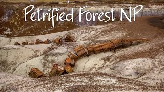Petrified Forest National Park, Arizona by Backroad Buddies 426 views 3 weeks ago 24 minutes