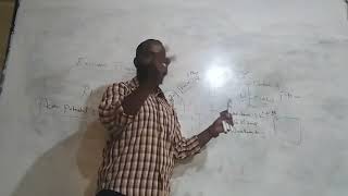 Excitable Tissues &Action Potential “AP” part1