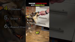 Ranking Tricking Dogs Into Taking Pills 💊 | Funny Dog Videos #shorts #viral