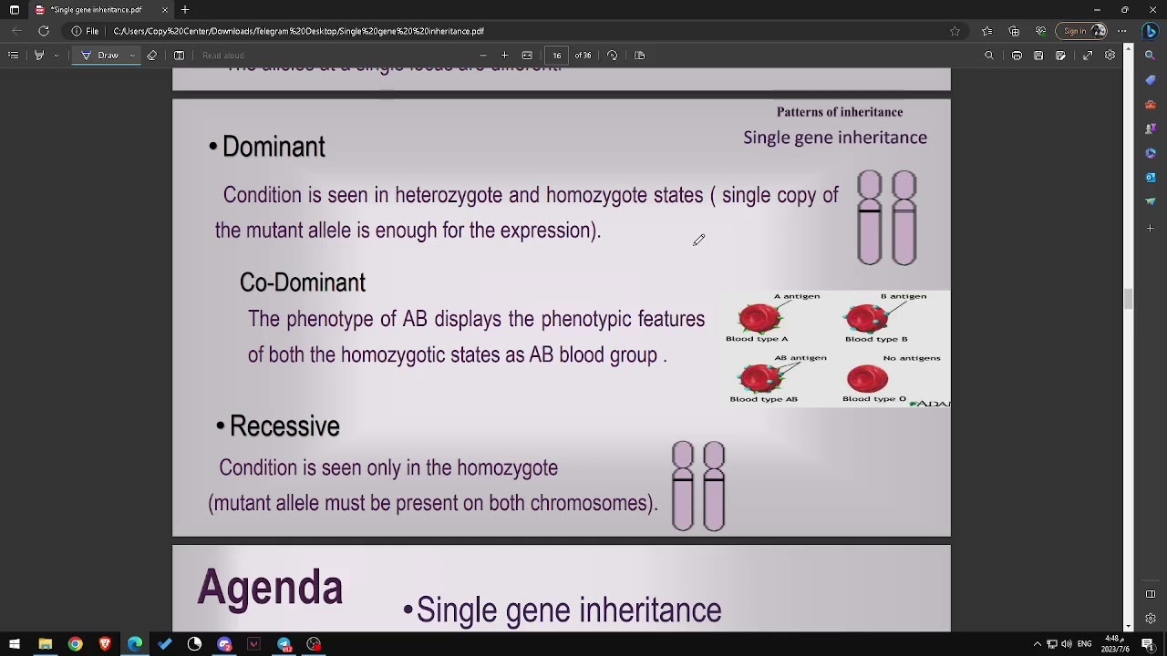 Single gene inheritance, (DEFINITIONS) part 1