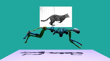 Biped Quadruped cat run cycle.avi