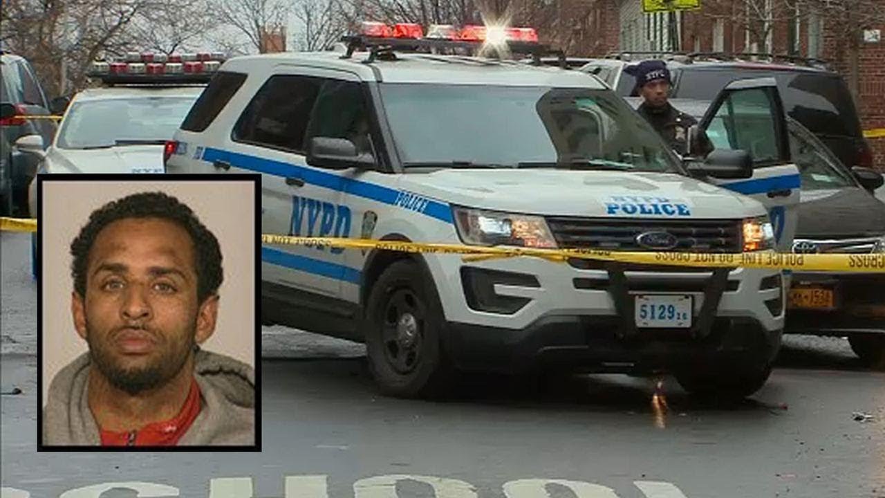 NYPD officer struck by driver fleeing Bronx traffic stop - YouTube